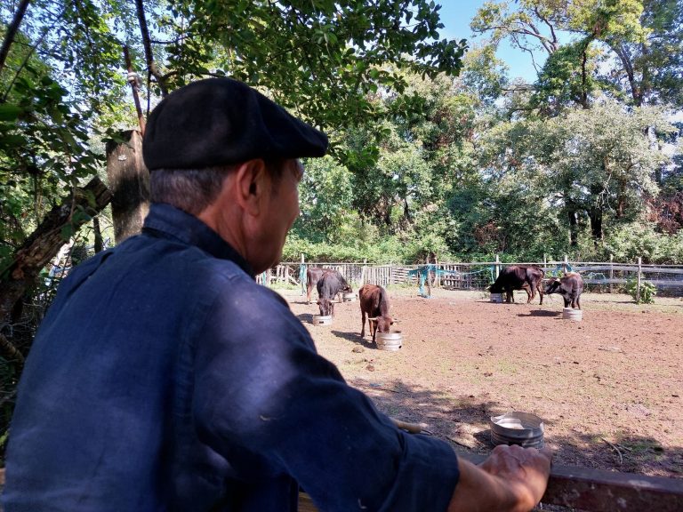 ganaderia de buros 1