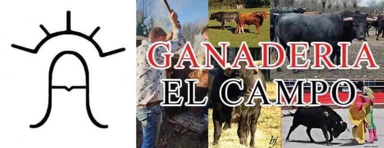 EL CAMPO Presentation