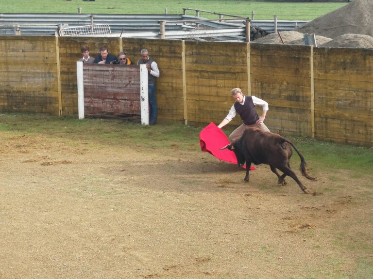 22 11 2023 CONGRES FSTF 4